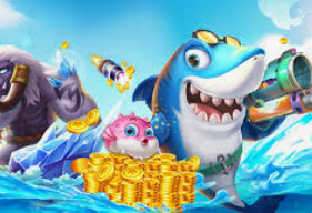 九游app官网下载2024最新版