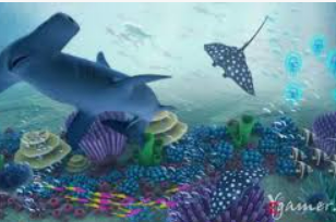 九游app官网下载最新版